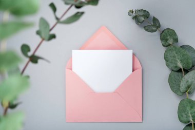 Gerçek fotoğraf. Okaliptüs dallı pembe zarf kare davetiye modeli. Üst görünümü kopyalama alanı, açık gri arkaplan. Markalaşma ve reklam şablonu