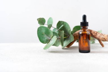 Ökaliptüs dalları ile özgün yağ ya da serum kozmetik ürünleri kopya uzay görüşlü, dokulu beyaz arkaplan. Kahverengi cam kozmetik şişesi. Ahşap dekoru sürükleniyor.