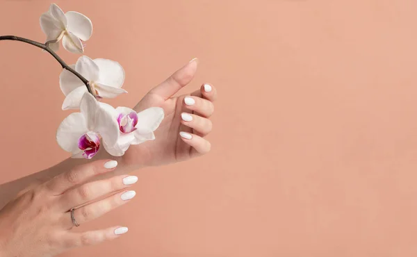 Hands of a young woman with white long nails on a beige background with orchid flowers. Manicure, pedicure beauty salon concept. Copy space for text or logo. On nails, gel polish spring