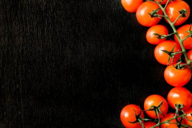 Koyu arkaplanda bir dalda domatesler.