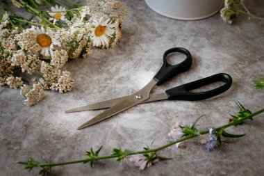 Kağıt mektuplar, el halısı, tüy kalem, mürekkep hokkası ve çiçekler masanın üzerinde. Parlak güneşli bir gün. Yukarıdan görüntüle.