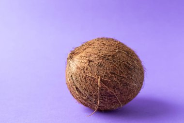 Mor arka planda tüylü bir hindistan cevizi.