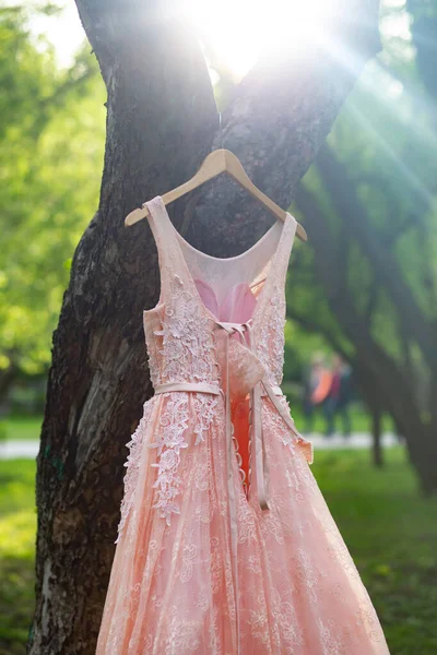 Broskvové svatební šaty visí na ramínku v parku — Stock fotografie
