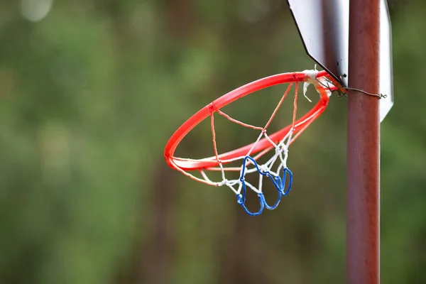 Çocuklar için plastik basketbol potası asılı. Yüksek kaliteli fotojenik plastik basketbol potası asılı. — Stok fotoğraf