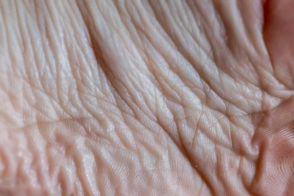 Texture of human skin o macro photo — Stock Photo, Image