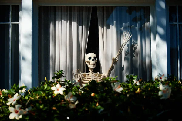 Toter Eigentümer im Fenster des Hauses. Skelett. Halloween-Szenerie. Schrecklicher Urlaub zu Hause. Halloween in den USA. Traditionen und Wohnkultur. Schreckliche Kreaturen. — Stockfoto