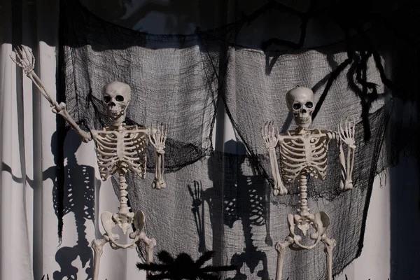 Esqueletos na janela. Cenário de Halloween. Férias terríveis em casa. Halloween nos EUA. Tradições e decoração da casa. Criaturas terríveis. — Fotografia de Stock
