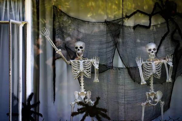 Esqueletos a acenar pela janela. Esqueletos felizes. Cenário de Halloween. Férias terríveis em casa. Halloween nos EUA. Tradições e decoração da casa. Criaturas terríveis. — Fotografia de Stock