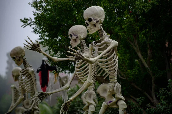 Skelet familie in de straat op Halloween. — Stockfoto
