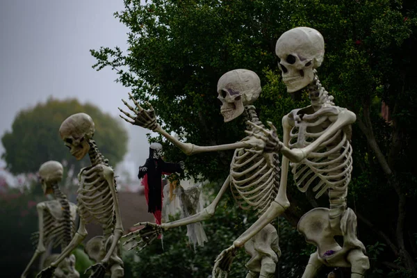 Skeleton family in street on Halloween.