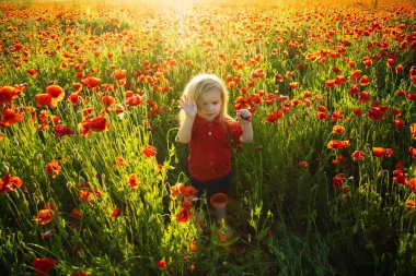 Çocuk ve yaz havası. Doğa ve çocuklar. Gelincik alanı arkaplanı.