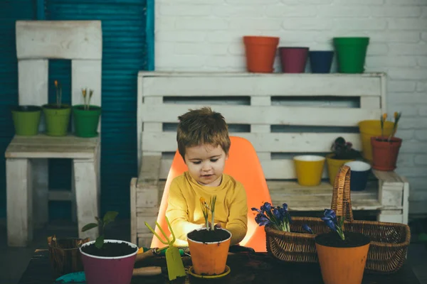 Şirin çocuk ve ev bahçesinde tabaklar. — Stok fotoğraf