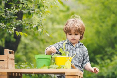 Bitkileri olan çocuk. Bitkilerin bakımı. Yeşil arkaplan.