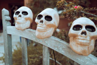 Cadılar bayramın kutlu olsun. İskelet kafatası ailesi tatile hazırlanıyor. Ekim dekorasyonu.