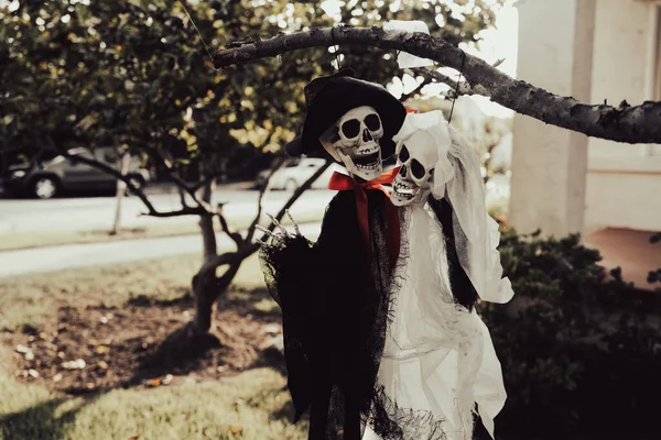 Σκελετοί γάμων. Νεκρός σκελετός νύφης και γαμπρού. Τρομακτικές διακοσμήσεις για χαρούμενες Απόκριες. — Φωτογραφία Αρχείου