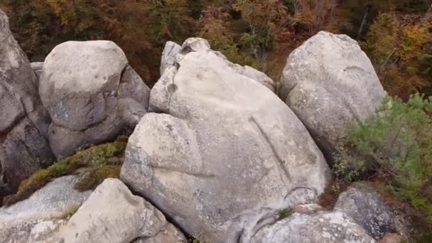 岩石和秋天森林的美丽的顶部景观 户外积极的生活方式和攀岩的概念 人类攀岩者用绳子和钩子爬石灰岩 — 图库视频影像