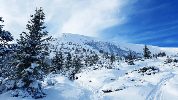 Bonita Vista Ladera Montaña Cubierta Nieve Cielo Azul Claro Buen —  Fotos de Stock