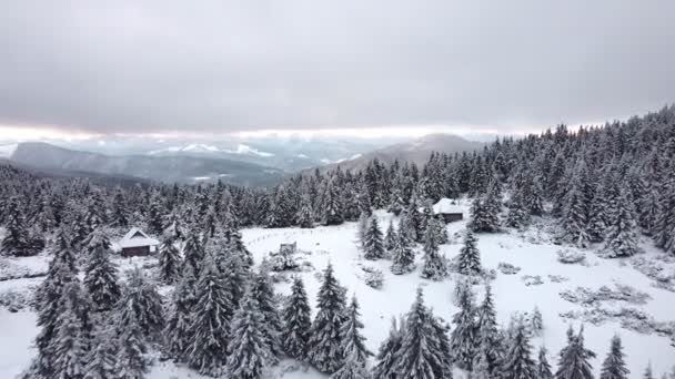 Luftaufnahme Eines Gefrorenen Winterwaldes Mit Schneebedeckten Bäumen Winter Weihnachtliches Hintergrundmaterial — Stockvideo