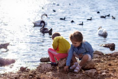 İki çocuk, ördekler ve kuğularla dolu bir göletin yanındaki kayalıklarda oturuyor. Çocuklar güneşli bir günde göl kenarında kuşları besler.