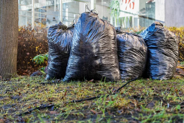 Black Plastic Trash Bags City Park — Stock Photo, Image