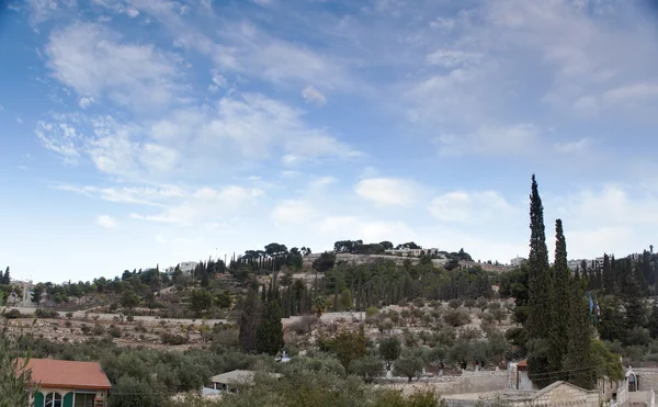 Landschap, panorama, uitzicht op Israël, Jeruzalem, de heilige plaatsen, de stad van drie godsdiensten, Eilat, de Negev woestijn, de dode zee, Jordan, Lake van Gennesaret, zee van Tiberias, Emmaus, op reis gaat — Stockfoto