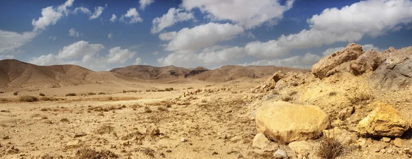 Landschap, panorama, uitzicht op Israël, Jeruzalem, de heilige plaatsen, de stad van drie godsdiensten, Eilat, de Negev woestijn, de dode zee, Jordan, Lake van Gennesaret, zee van Tiberias, Emmaus, op reis gaat — Stockfoto