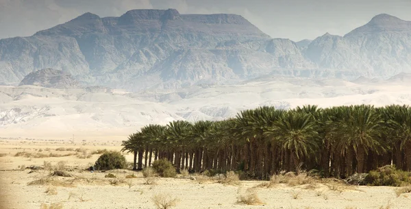 Landschaft, panorama, blick auf israel, jerusalem, die heiligen orte, die stadt der drei religionen, eilat, die negev-wüste, das tote meer, jordan, see von gennesaret, tiberias meer, emmaus, reise, reise — Stockfoto