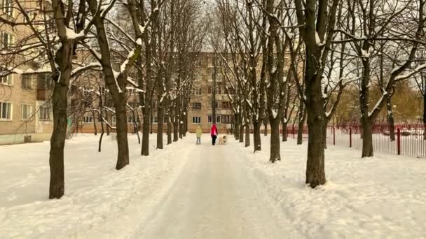 Invierno, la primera nieve en la ciudad — Vídeos de Stock