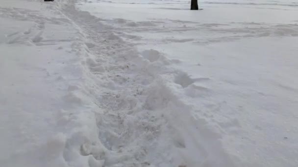 В том числе, в том числе и в том числе, в том числе и в том, что касается Включения 1 — стоковое видео