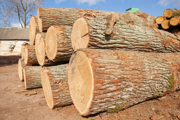 Träbearbetning Möbeltillverkning Möbler Trä Möbeltillverkning — Stockfoto