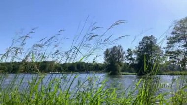    Nehir ve gölün kıyısında dinleniyor.