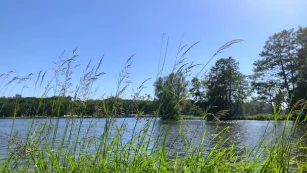 Descansar a orillas del río y el lago — Vídeo de stock