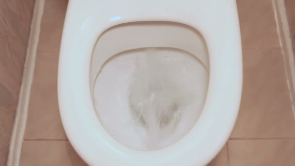 Toalett, vit toalett, en störtflod av vatten — Stockvideo