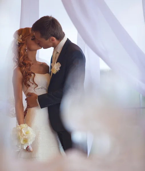 Boda, novia y novio, amor — Foto de Stock