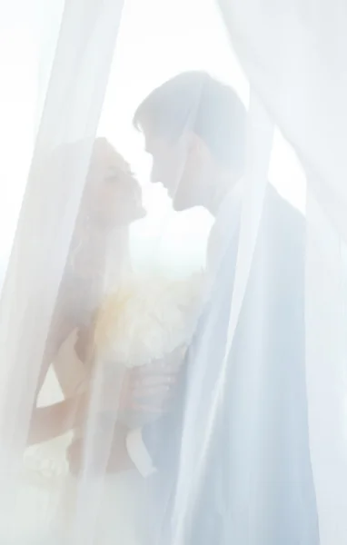 Casamento, noiva e noivo, amor — Fotografia de Stock