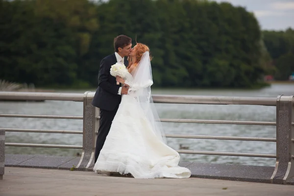 Hochzeit, Braut und Bräutigam, Liebe — Stockfoto