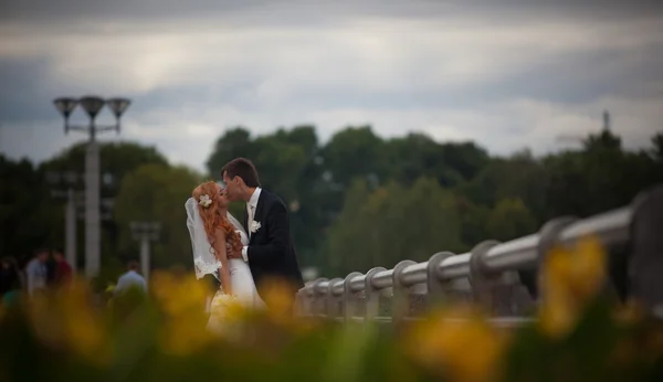 Bruiloft, bruid en bruidegom, liefde — Stockfoto