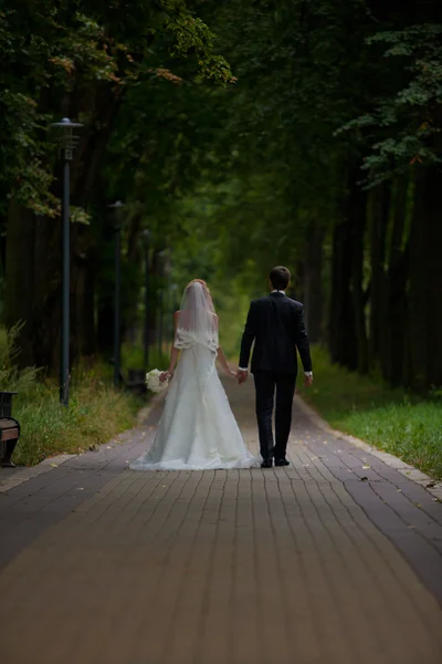 Esküvő, a menyasszony és a vőlegény, szerelem — Stock Fotó