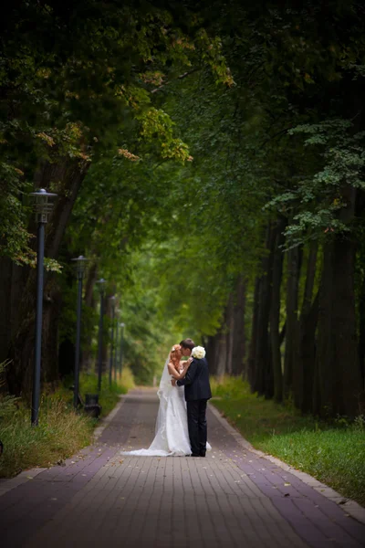 Bruiloft, bruid en bruidegom, liefde — Stockfoto