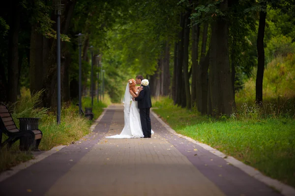 결혼식, 신부 및 신랑, 사랑 — 스톡 사진