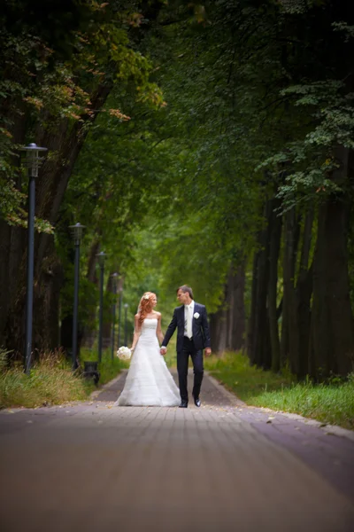 Boda, novia y novio, amor —  Fotos de Stock