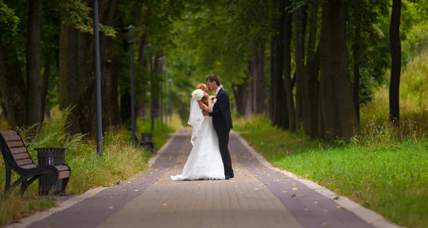 Весілля, наречений і наречений, любов — стокове фото