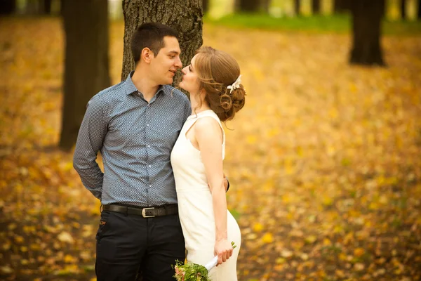 Una storia d'amore, un giovane uomo e una donna si amano, camminano nel parco, si baciano e si abbracciano — Foto Stock