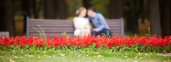 Una storia d'amore, un giovane uomo e una donna si amano, camminano nel parco, si baciano e si abbracciano — Foto Stock