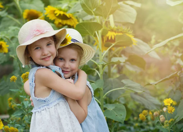 Two cute little smiling girls hugging in a field of sunflowers on a sunny summer day. Sisters. Best friends, friendship. Copyspace Stock Photo