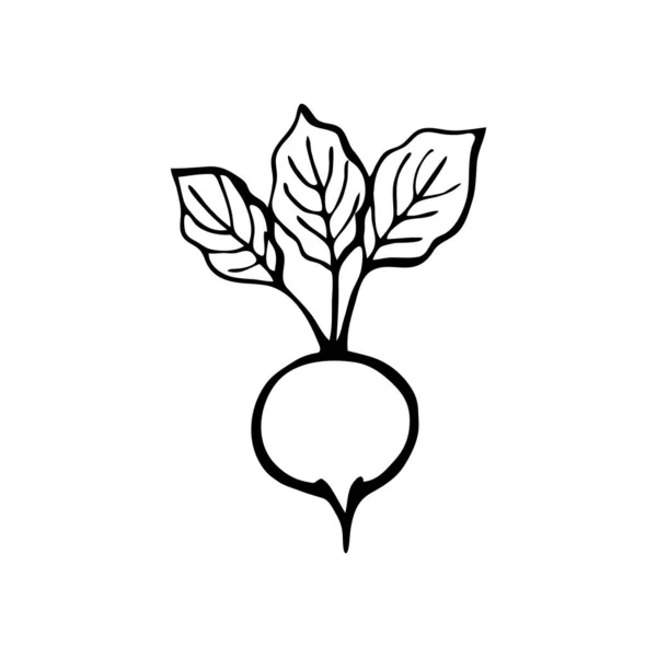 手绘矢量图为草图风格 蔬菜的黑白形象 — 图库矢量图片