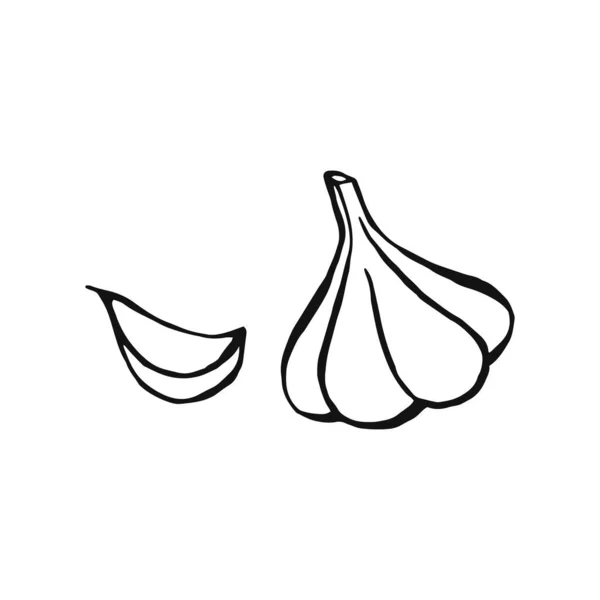 Ajo Dibujado Mano Elementos Diseño Aislados Blanco Iconos Cocina Ilustración — Vector de stock