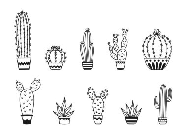 Kaktüs seti ve sulu bitkiler. Beyaz arka planda vektör çizimleri.