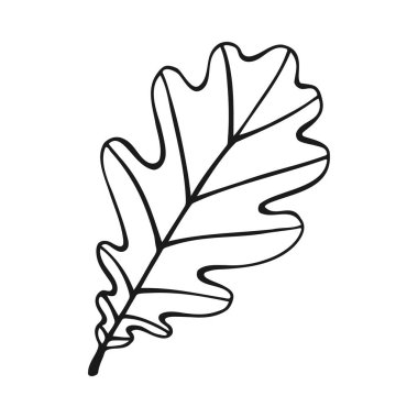 El yapımı meşe yaprağı ana hatları. Beyaz arkaplanda izole edilmiş sanat tarzında meşe yaprağı.
