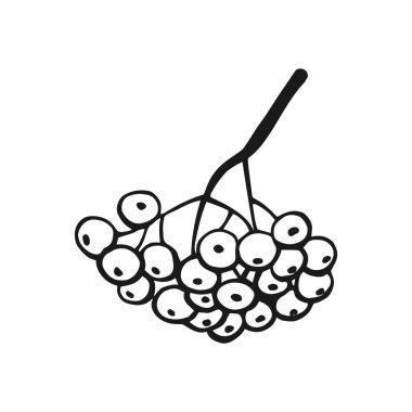 El yapımı yaban mersini ana hatları. Beyaz arkaplanda çizgi sanatı biçimi izole.